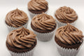 Chocolate Cup Cakes Box of 6 or 12