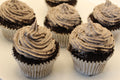 Cookies and Cream Cup Cakes Box of 6 or 12